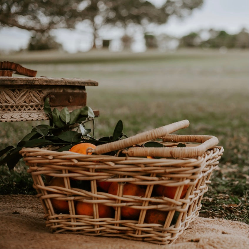 Beach Bags & Picnic Baskets